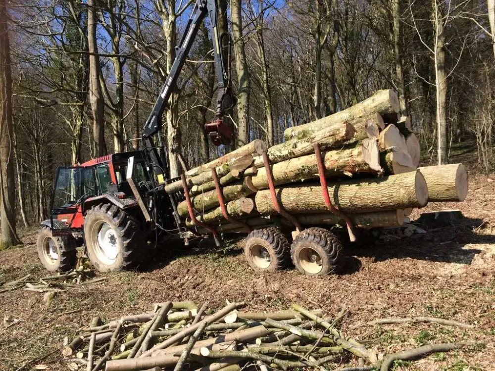 exploitation forestière près de Montreuil-sur-Mer