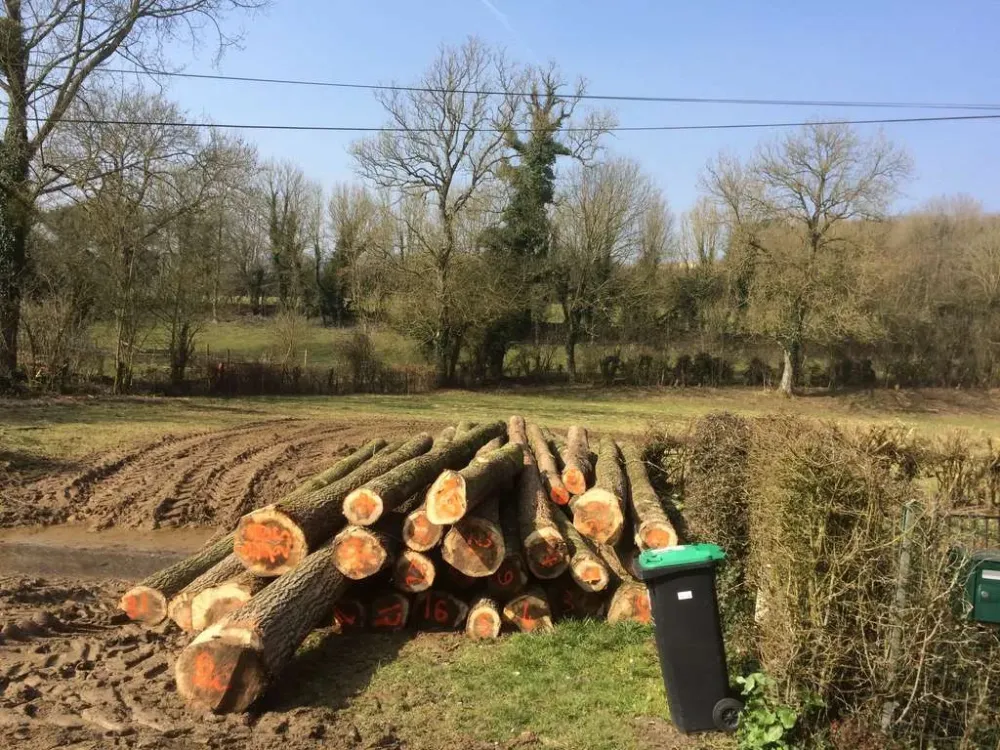 livraison de bois près de Montreuil-sur-Mer