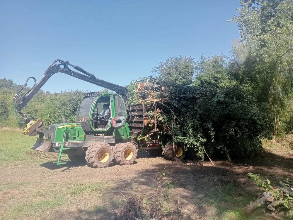 élagage près de Montreuil-sur-Mer